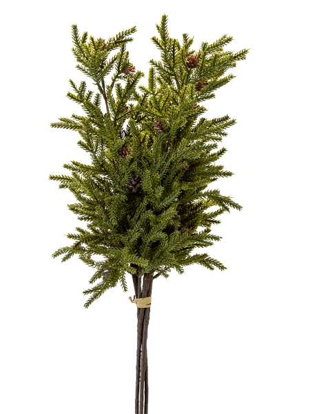 Picture of 32''  CYPRESS CONE BUNDLE