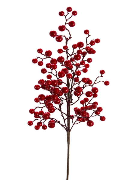 Picture of 21.5"BERRY SPRAY