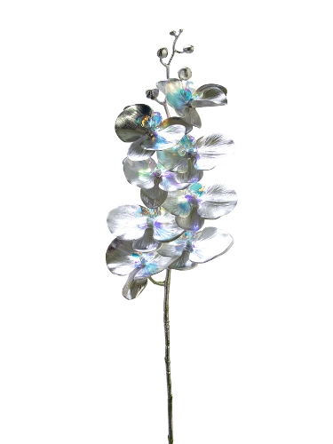 Picture of 39" PHALAENOPSIS SPRAY