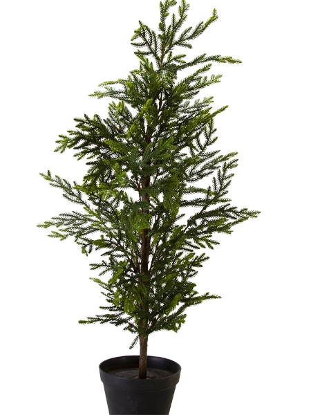 Picture of 35'' CYPRESS POTTED TREE