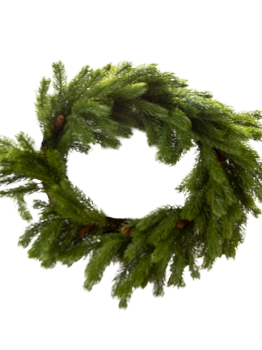 Picture of 26" DOUGLAS FIR WREATH