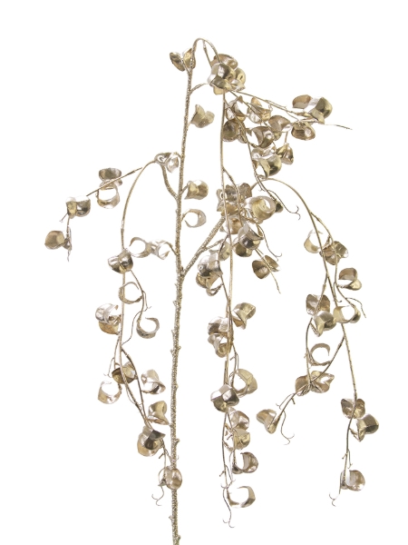 Picture of 45" MINI FICUS BENJAMINA VINE