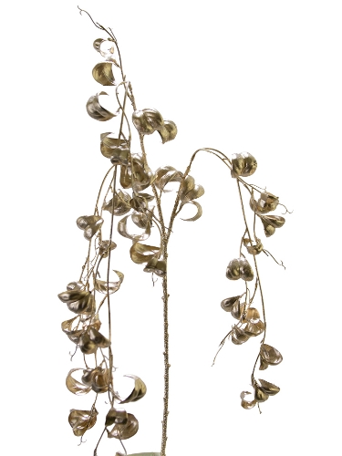 Picture of 46" FICUS BENJAMINA VINE