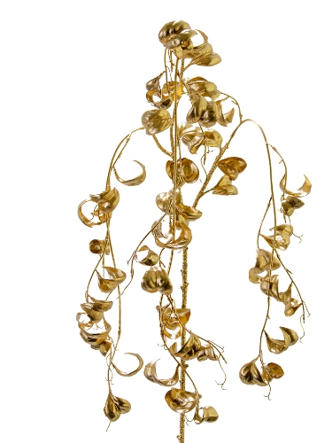 Picture of 46" FICUS BENJAMINA VINE