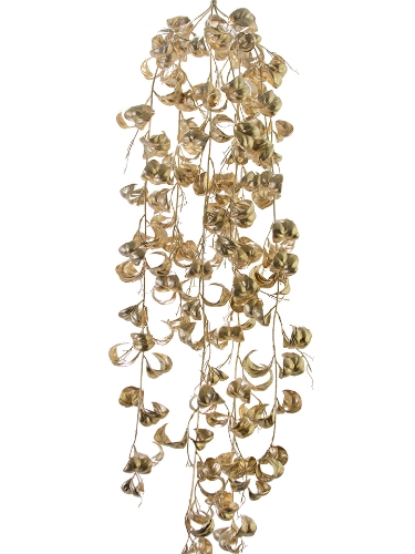 Picture of 41" FICUS BENJAMINA VINE