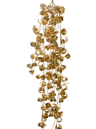 Picture of 41" FICUS BENJAMINA VINE