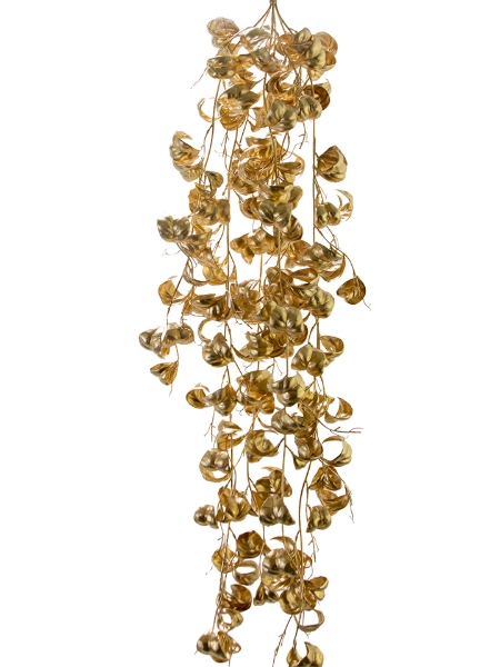 Picture of 41" FICUS BENJAMINA VINE