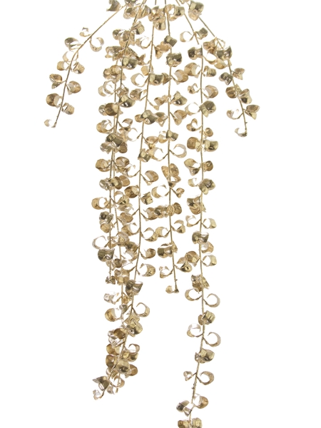 Picture of 36" MINI FICUS BENJAMINA VINE