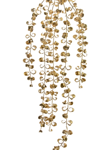 Picture of 36" MINI FICUS BENJAMINA VINE