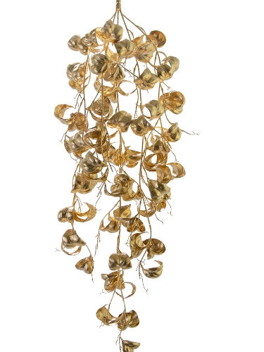 Picture of 31" FICUS BENJAMINA VINE