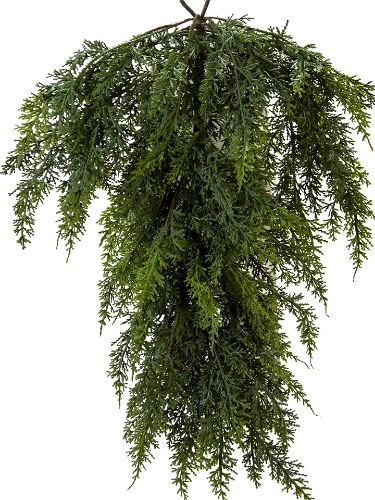 Picture of 25" CYPRESS TEARDROP