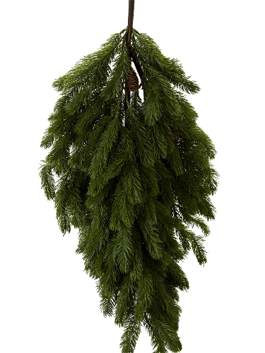 Picture of 36'' DOUGLAS FIR  TEARDROP