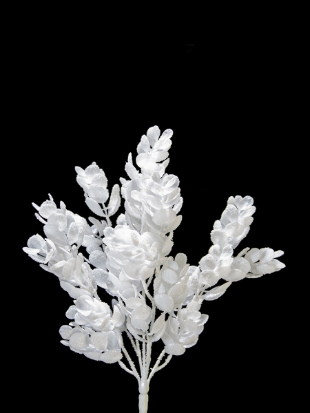 Picture of 17" SHINY HOPS  BUSH