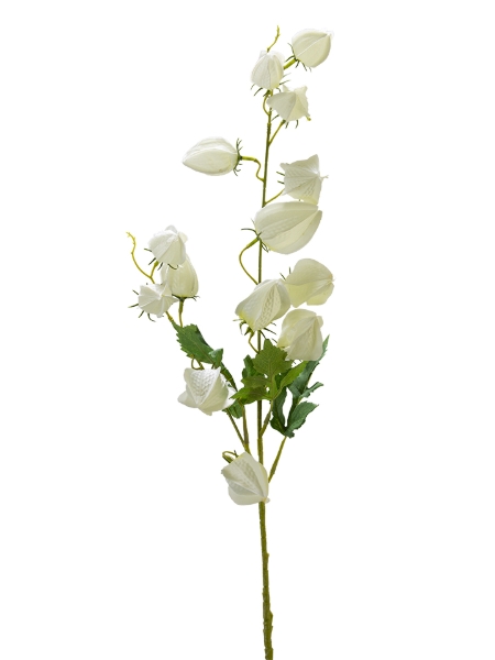 Picture of 33" LANTERN FLOWER SPRAY