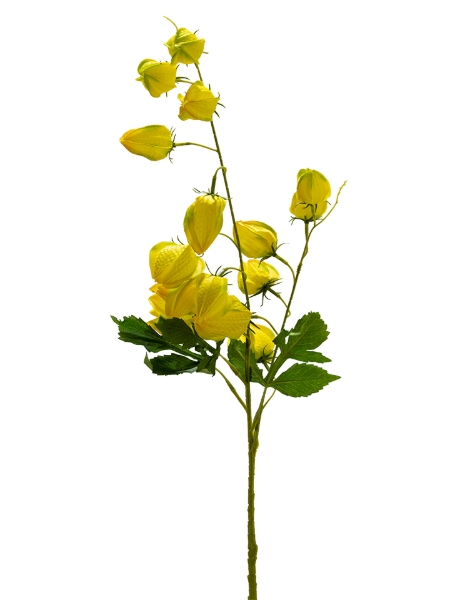Picture of 33" LANTERN FLOWER SPRAY