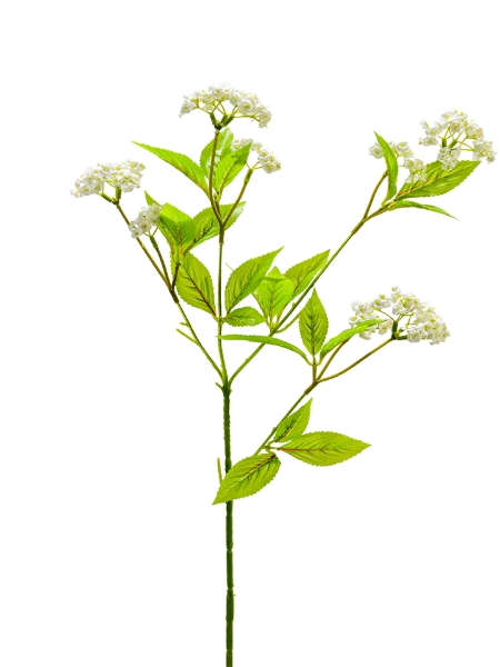 Picture of 33" MINI WILD FLOWER