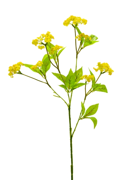 Picture of 33" MINI WILD FLOWER