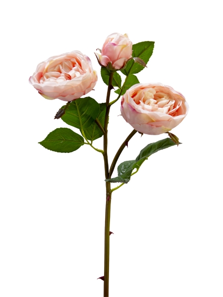 Picture of 24" REAL TOUCH CABBAGE ROSE SPRAY