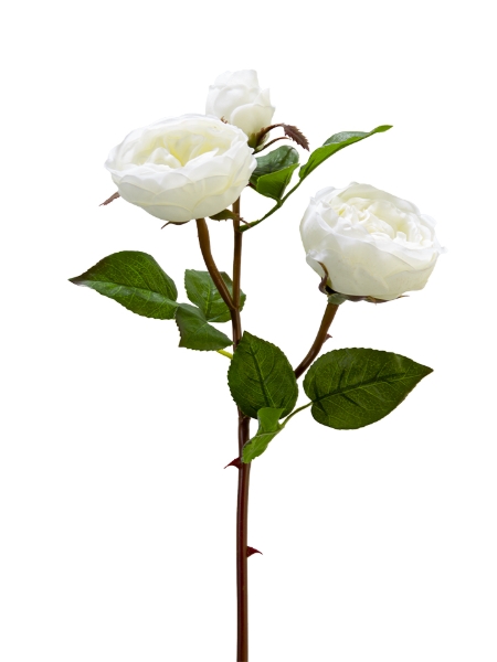 Picture of 24" REAL TOUCH CABBAGE ROSE SPRAY