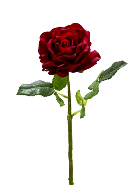 Picture of 17" REAL TOUCH ROSE PICK