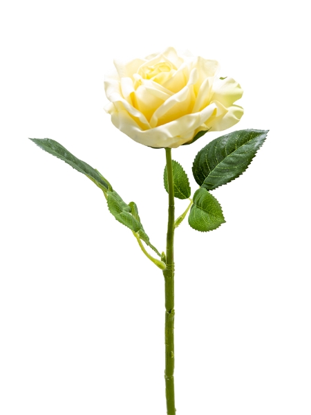 Picture of 17" REAL TOUCH ROSE PICK