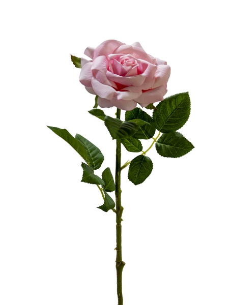 Picture of 24" REAL TOUCH  ROSE  STEM