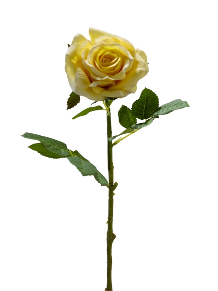 Picture of 24" REAL TOUCH  ROSE  STEM