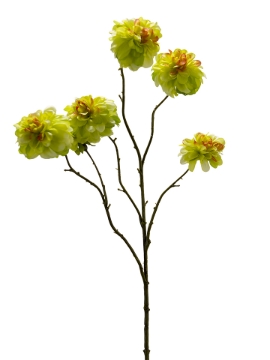 Picture of 28" DAHLIA SPRAY
