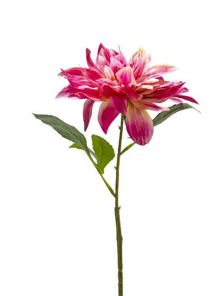 Picture of 26" DAHLIA  STEM