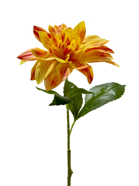 Picture of 26" DAHLIA  STEM
