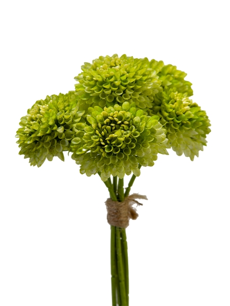 Picture of 11" X 6 DAHLIA BUNDLE