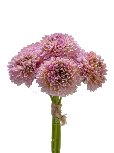 Picture of 11" X 6 DAHLIA BUNDLE