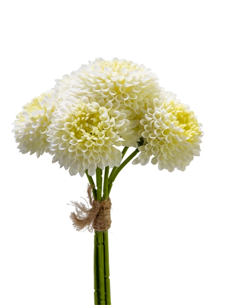 Picture of 11" X 6 DAHLIA BUNDLE