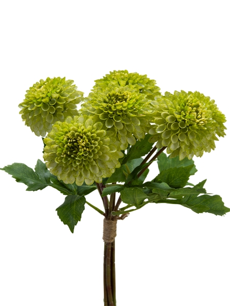 Picture of 18" X 6 DAHLIA BUNDLE