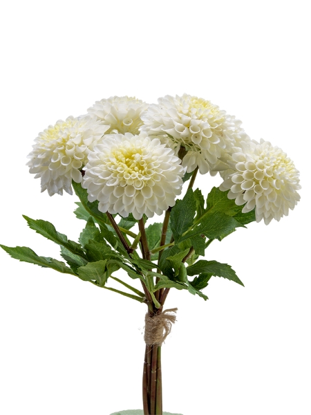 Picture of 18" X 6 DAHLIA BUNDLE