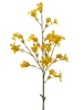 Previous