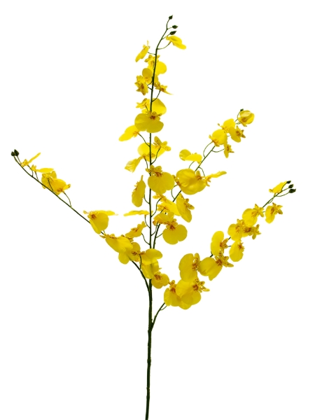 Picture of 47" ONCIDIUM SPRAY