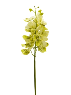 Picture of 27" REAL TOUCH VANDA ORCHID