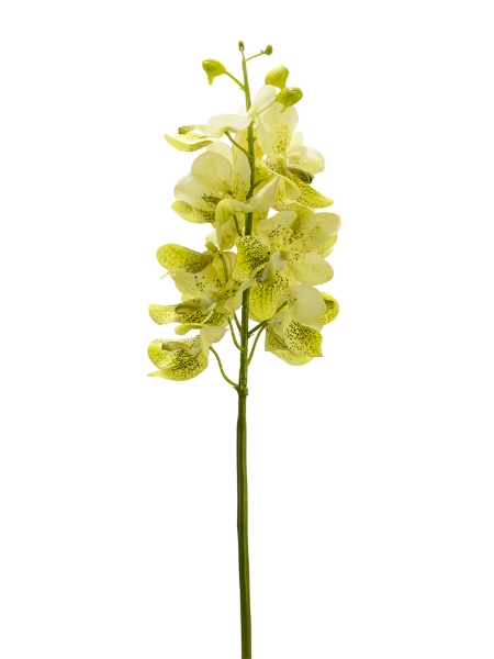 Picture of 27" REAL TOUCH VANDA ORCHID