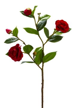 Picture of 33" REAL TOUCH CAMELLIA SPRAY