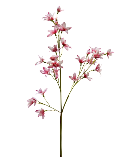Picture of 35" REAL TOUCH FAIRY LILY SPRAY