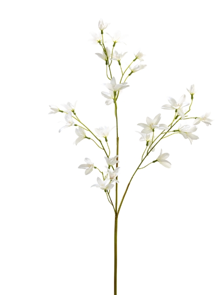 Picture of 35" REAL TOUCH FAIRY LILY SPRAY
