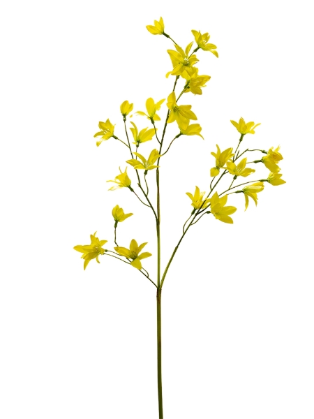 Picture of 35" REAL TOUCH FAIRY LILY SPRAY