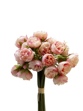 Picture of 9" X 12 MINI PEONY BUNDLE