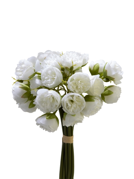 Picture of 9" X 12 MINI PEONY BUNDLE