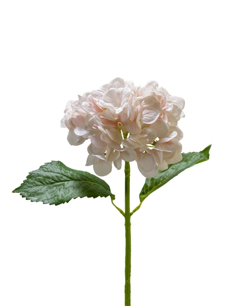 Picture of 19" REAL TOUCH HYDRANGEA SPRAY