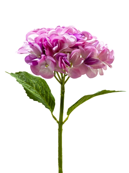 Picture of 19" REAL TOUCH HYDRANGEA SPRAY