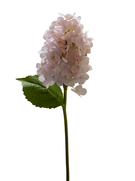 Picture of 25" REAL TOUCH HYDRANGEA SPRAY