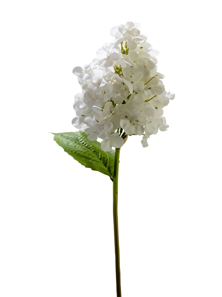 Picture of 25" REAL TOUCH HYDRANGEA SPRAY