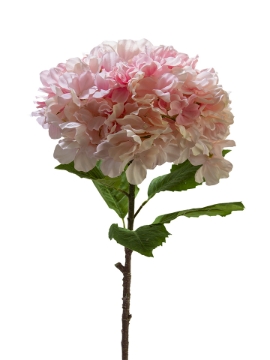 Picture of 36" LARGE HYDRANGEA